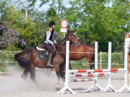 IMG_0688_web